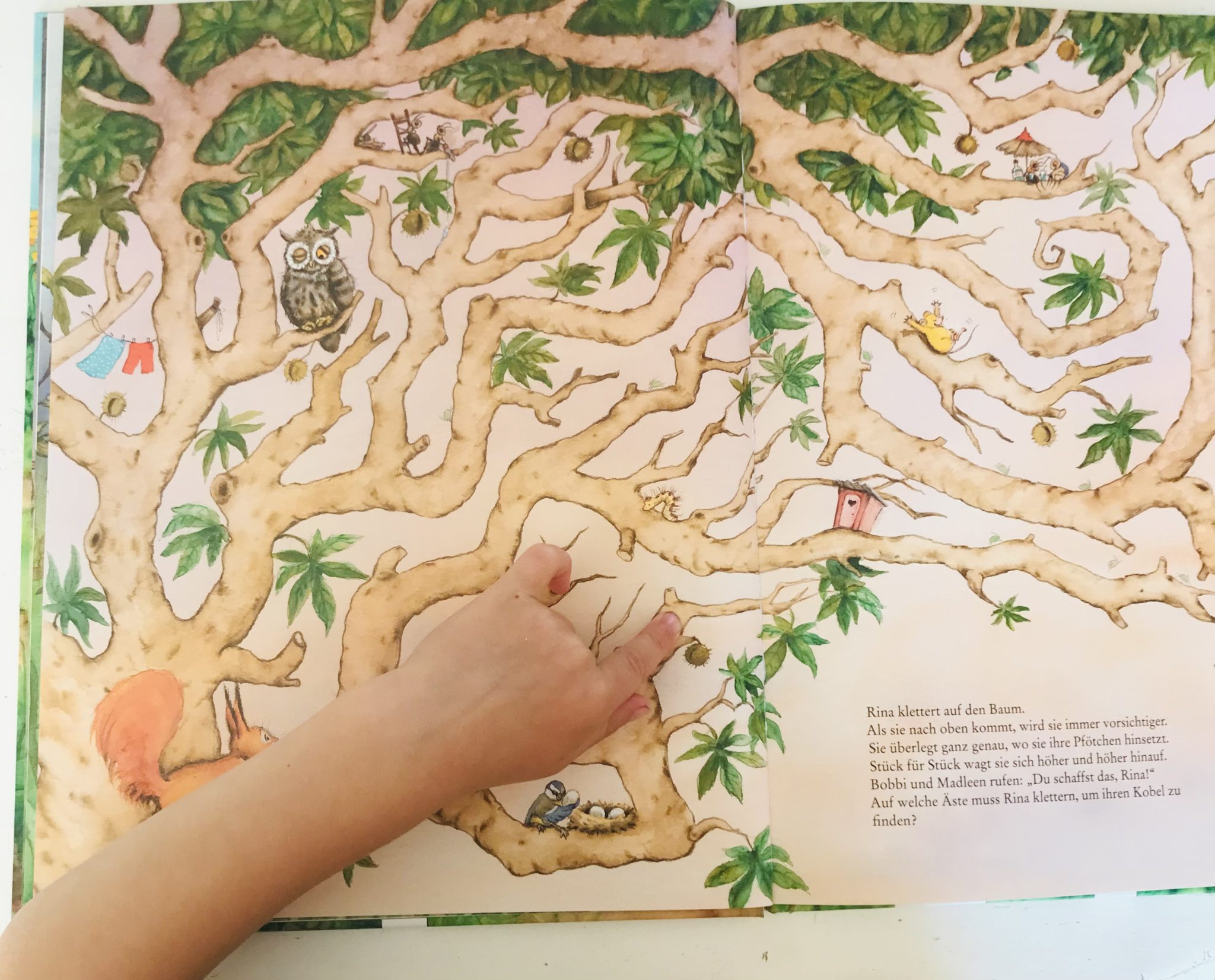 Arena Verlag, Eichhörnchen, Labyrinth ⋆ Wheelymum