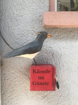 eine kleine Amsel mit dem Schild Kässle im Gässle