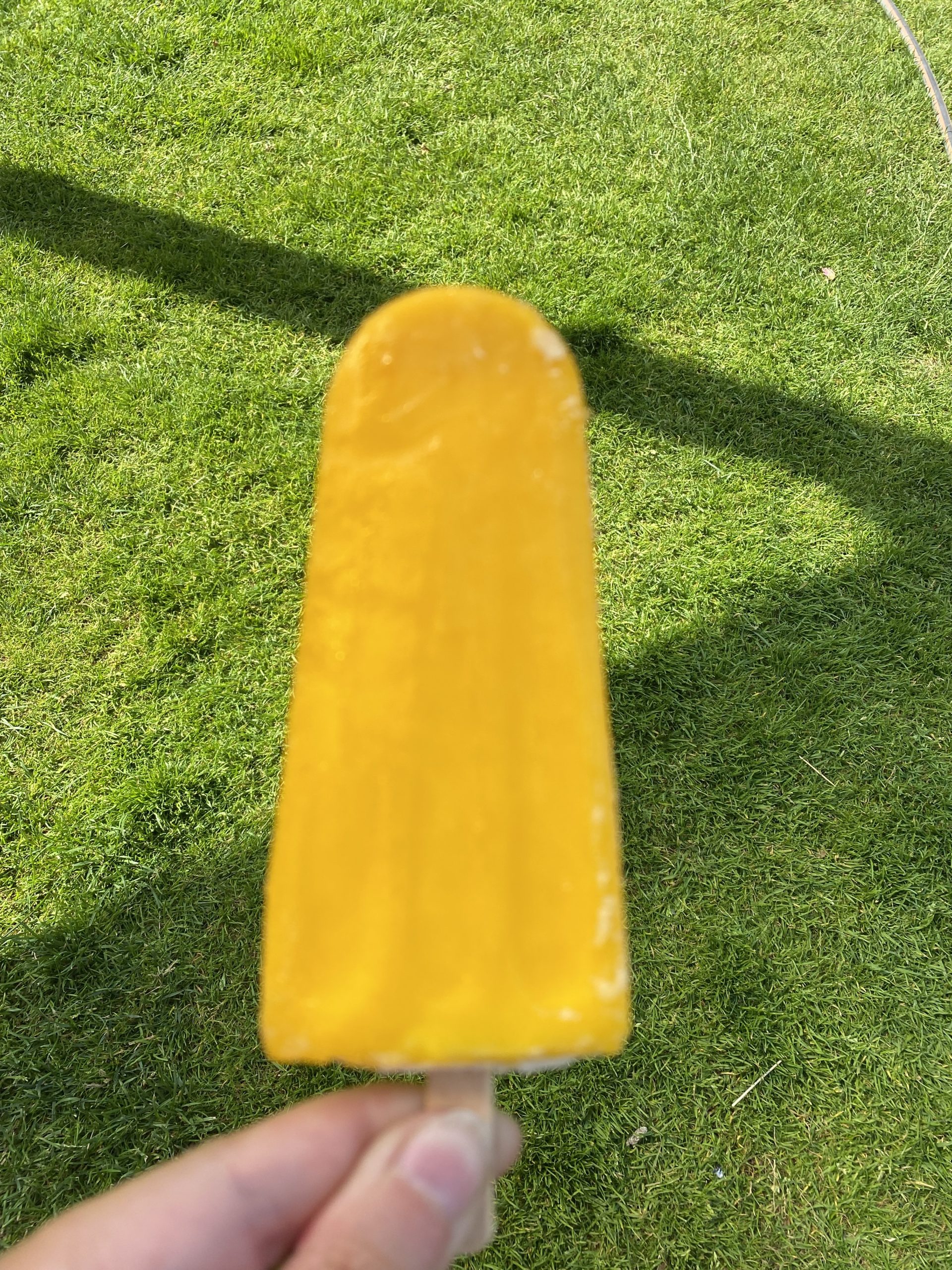 Ich halte ein Capri Eis über den Rasen 