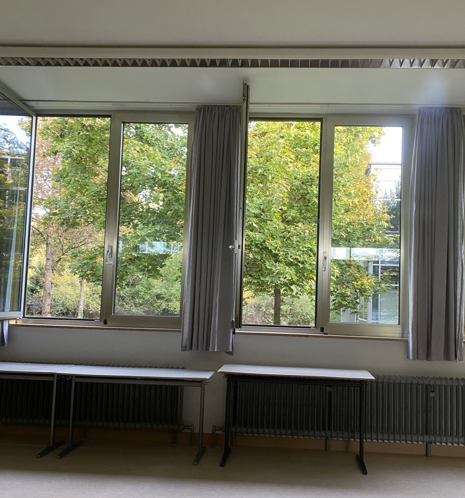 Blick aus dem Fenster im Schulhaus auf den Innengarten mit Bäumen 