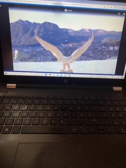 Laptop mit Ski Springen