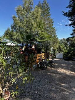 Ausblick aus der Pfalz